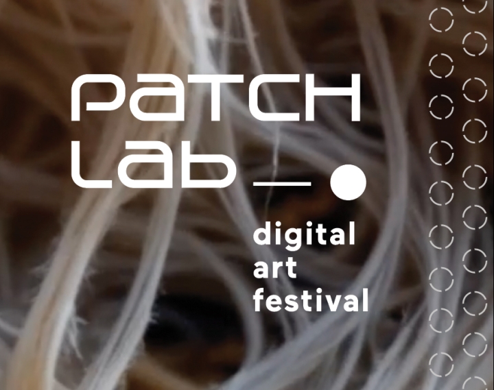 Artyści z Austrii
na Festiwalu Patchlab